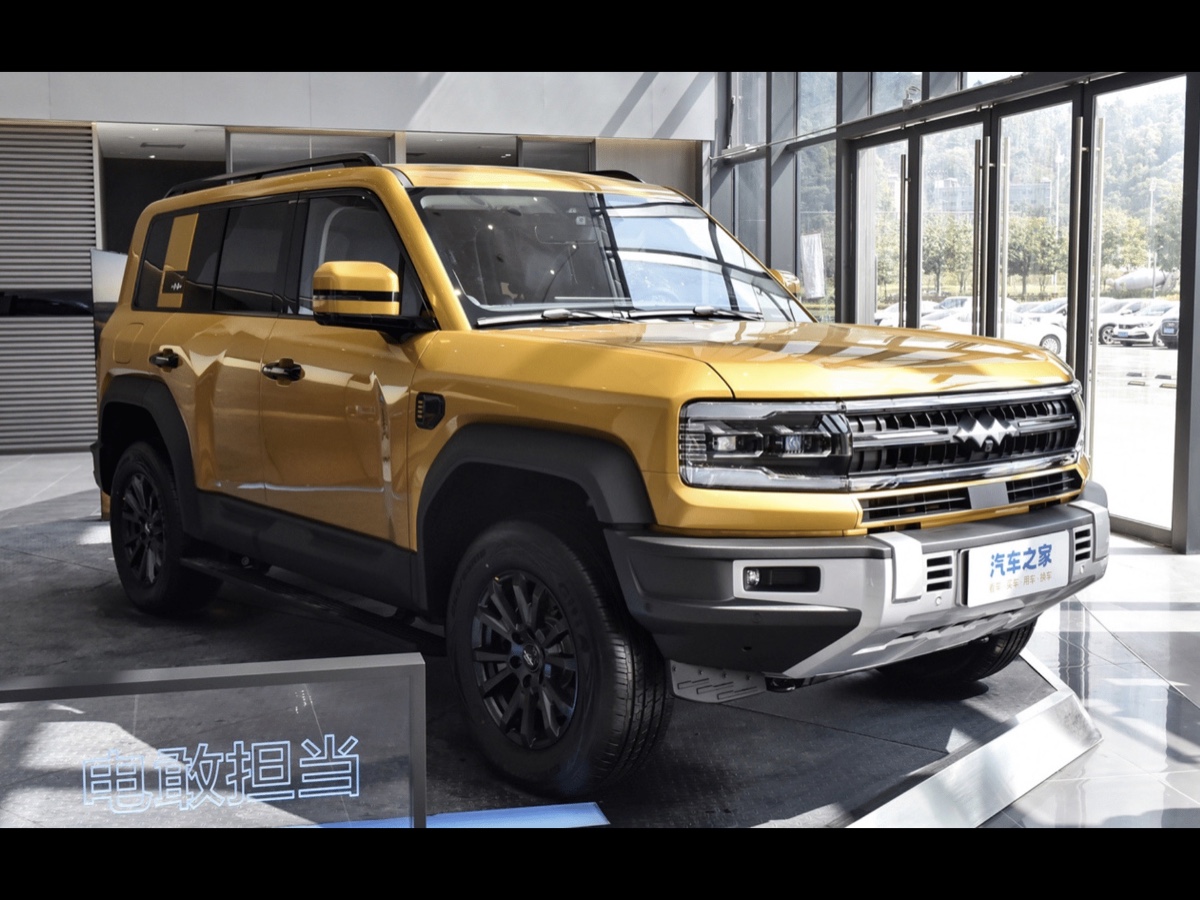 BYD Fang Cheng Bao Bao 5