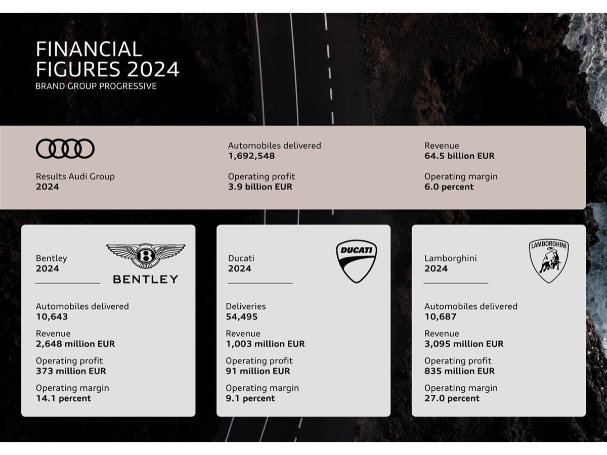 Gruppo Audi risultati 2024