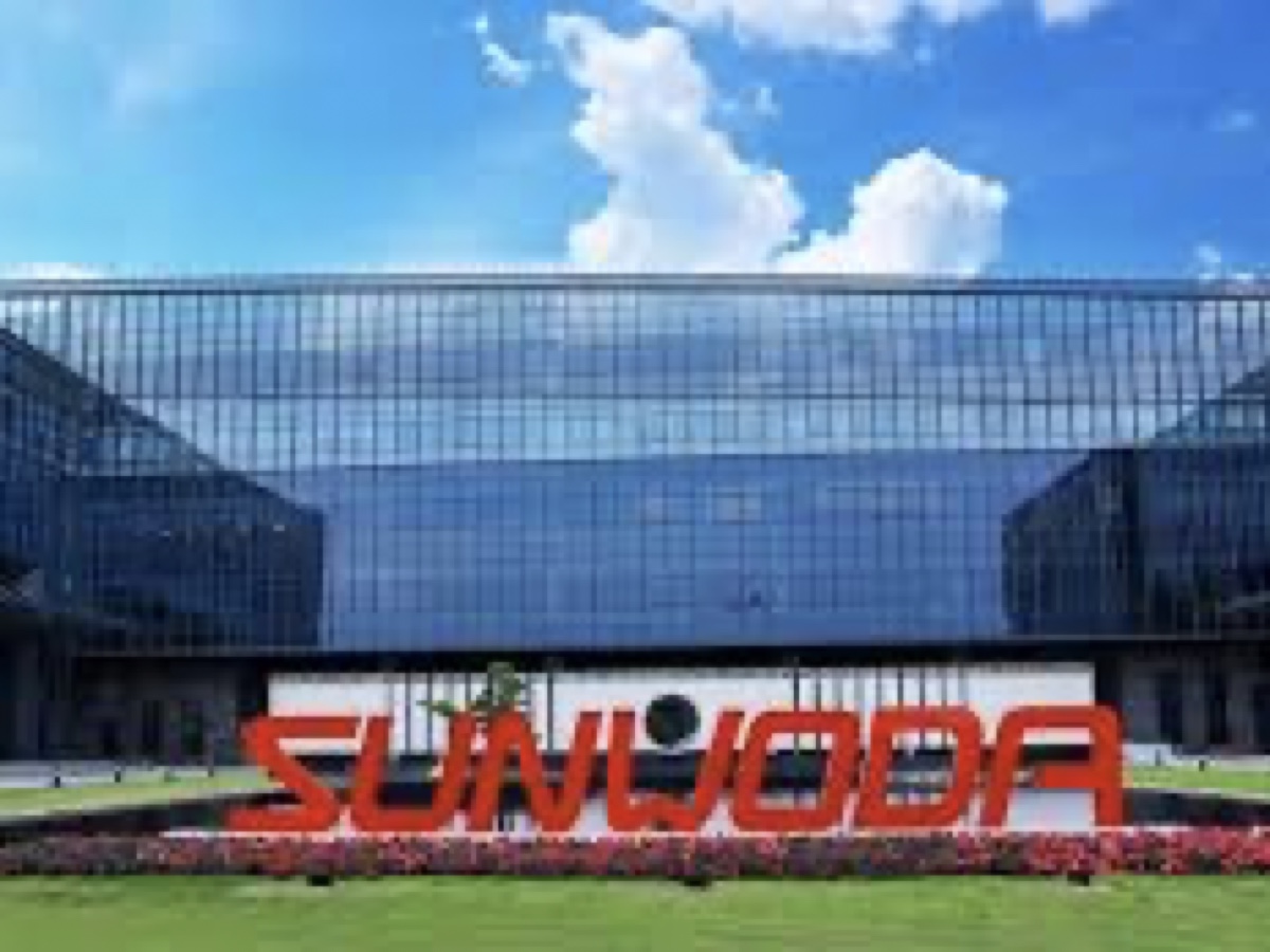 Sunwoda Electronic