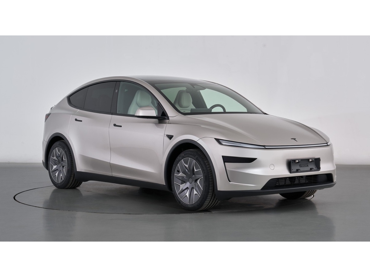 Tesla Model Y L Cina