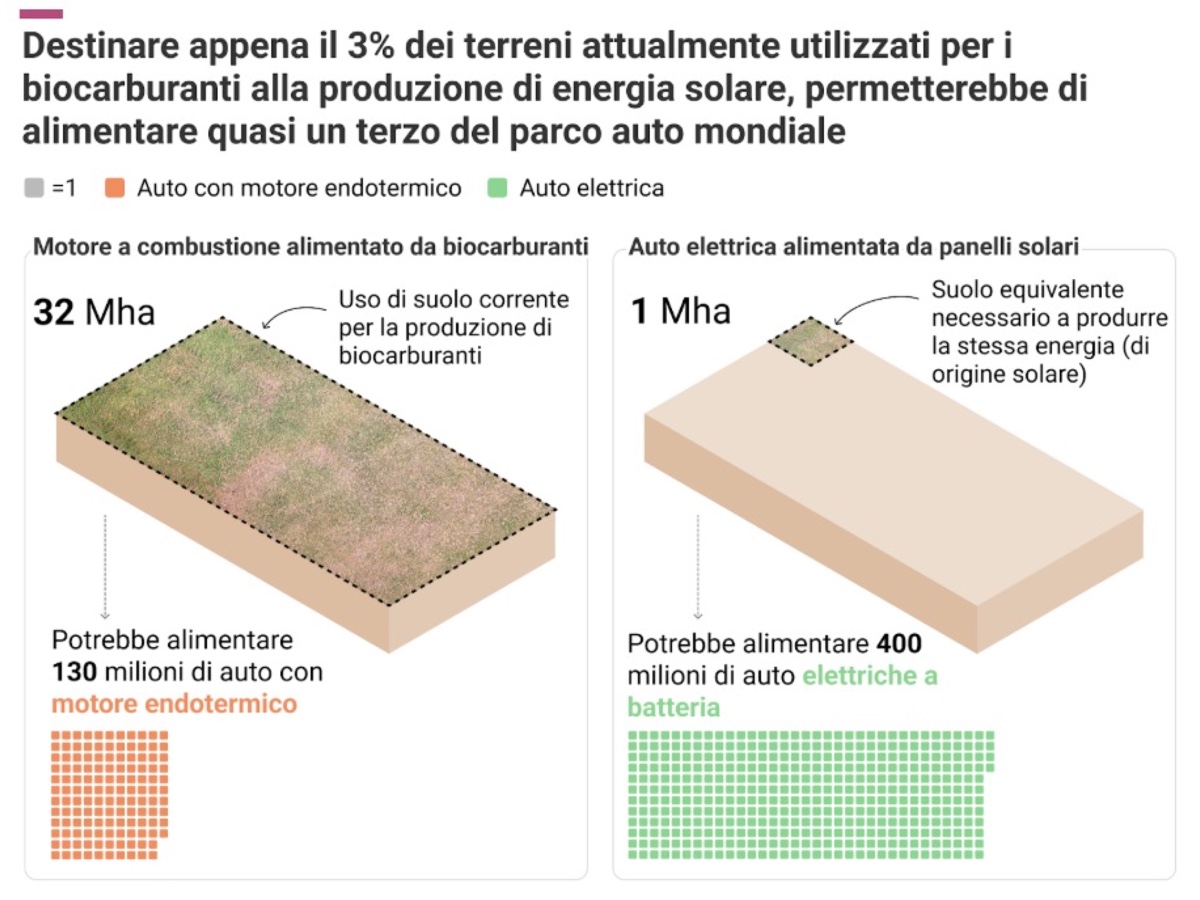 T&E biocarburanti