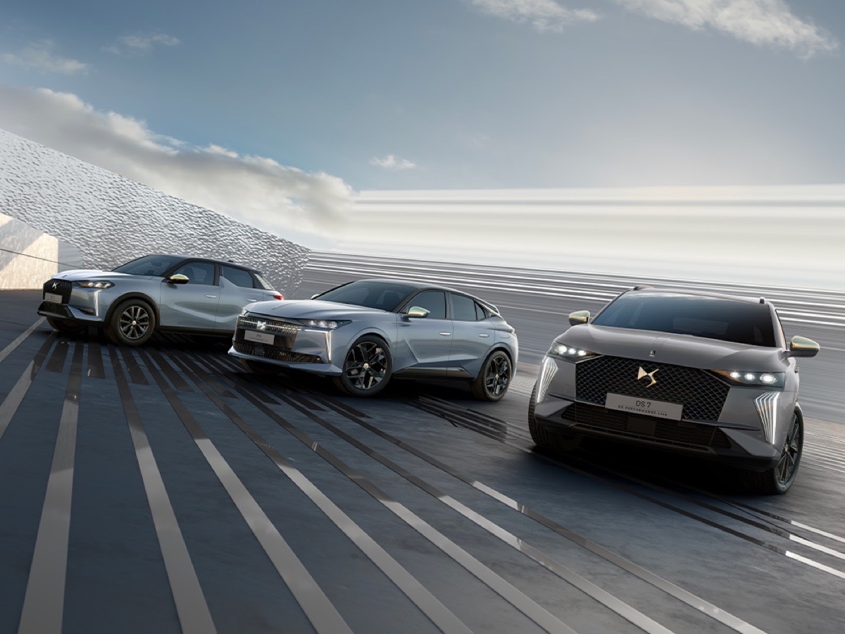 DS Performance Line gamma