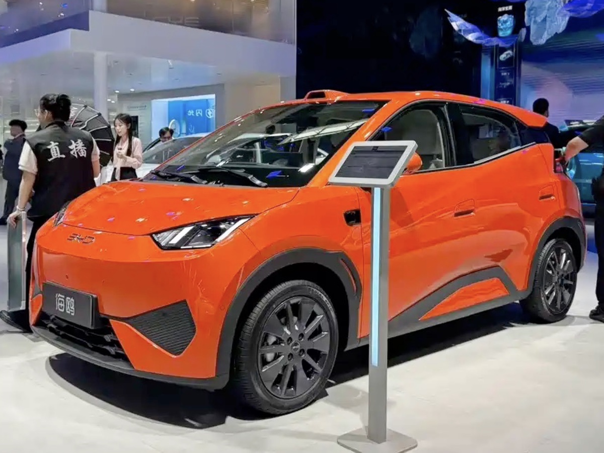 BYD Dolphin Surf MY26