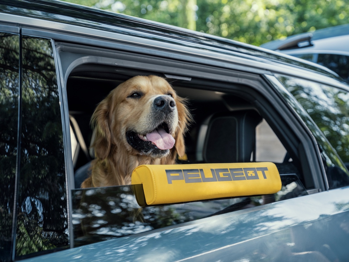 Peugeot E-5008 Dog Edition concept