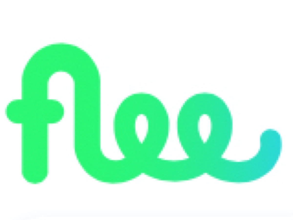 Flee noleggio auto pay per use