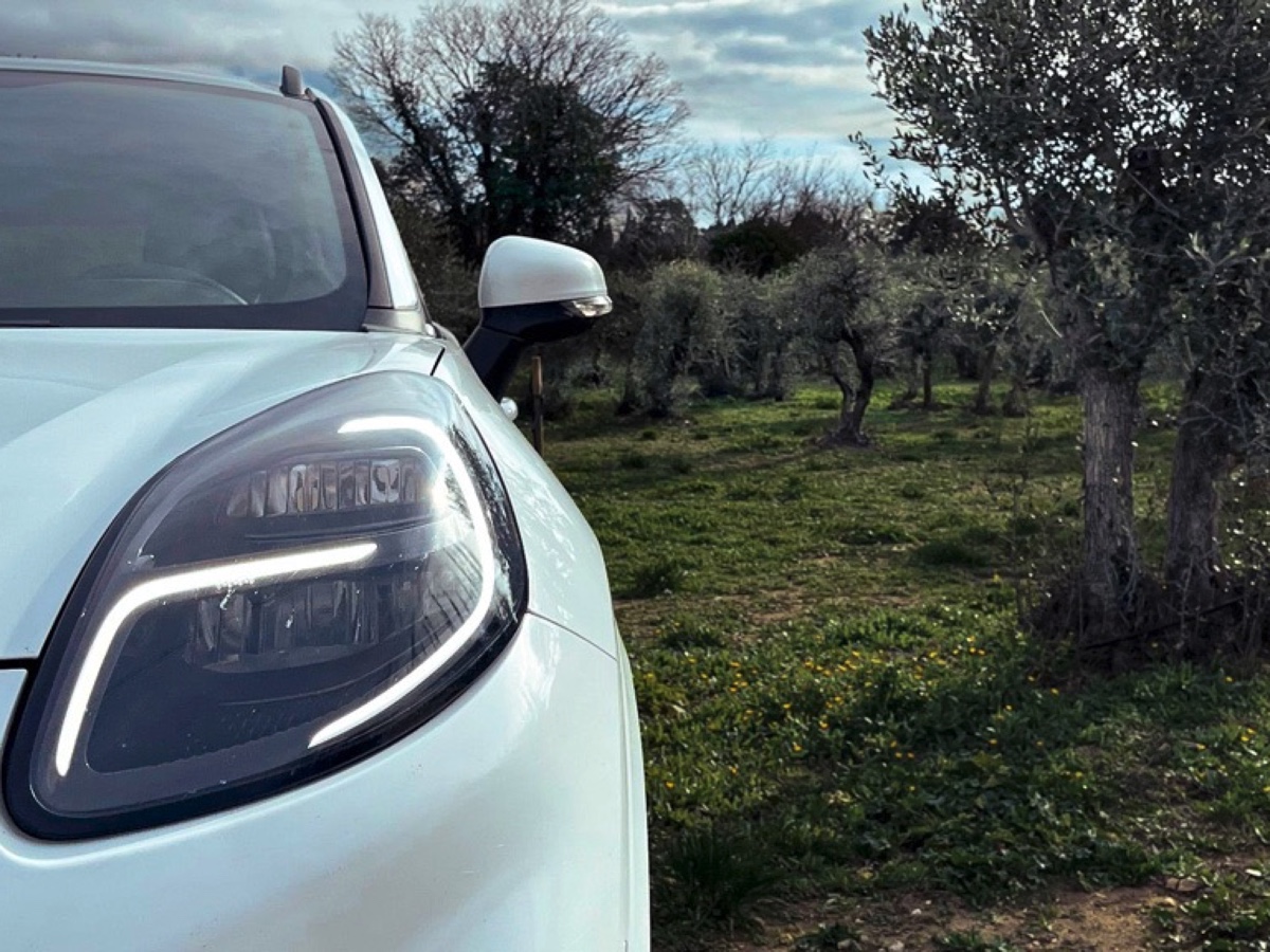 Ford componenti auto dagli scarti della raccolta di olive